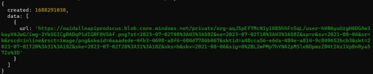 API-Response